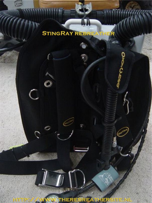 Errol Harding Stingray and Abyss 009