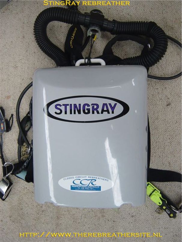 Errol Harding Stingray and Abyss 010