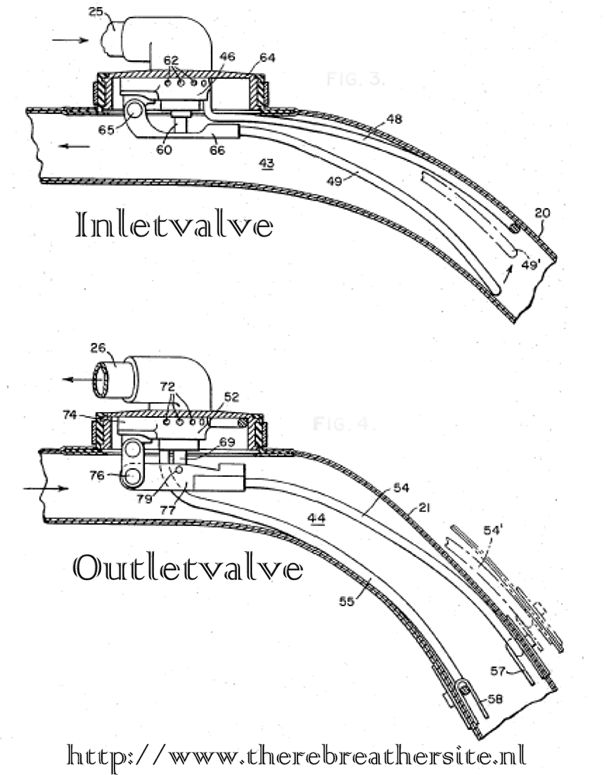 Therebreathersite Arawak 015