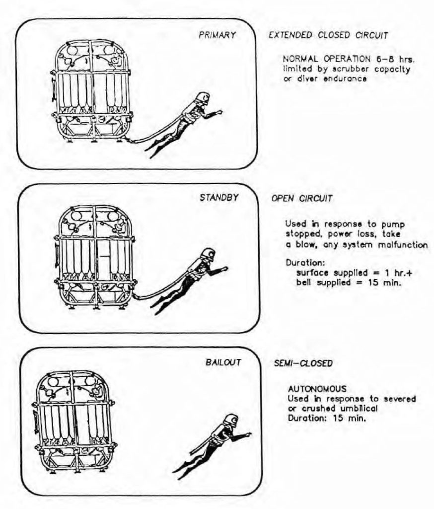 Therebreathersite Arawak P 001