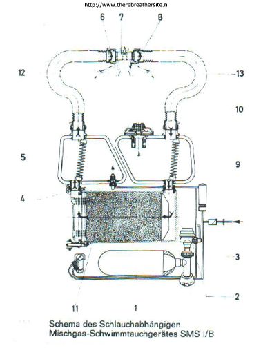 Therebreathersite SMS1B 018