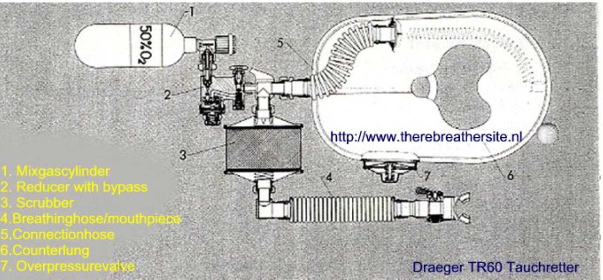 Therebreathersite TR60 042