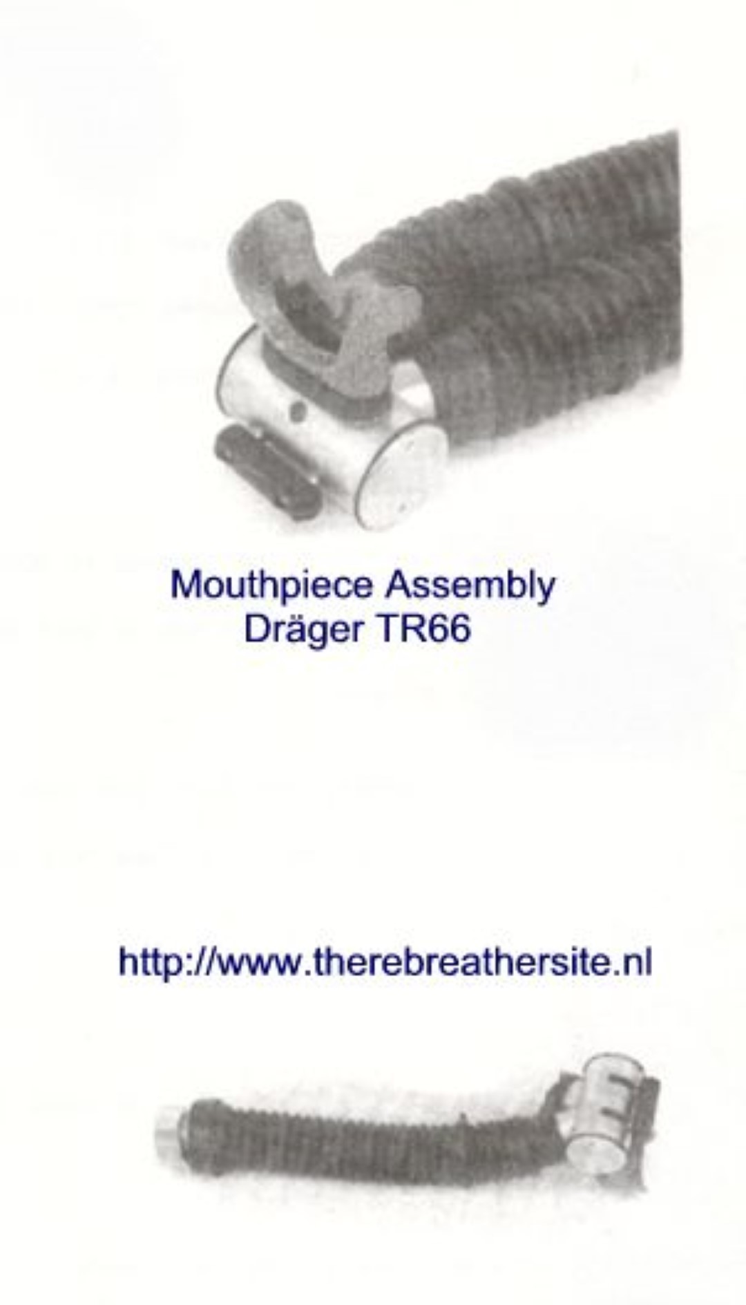 Therebreathersite TR66 013