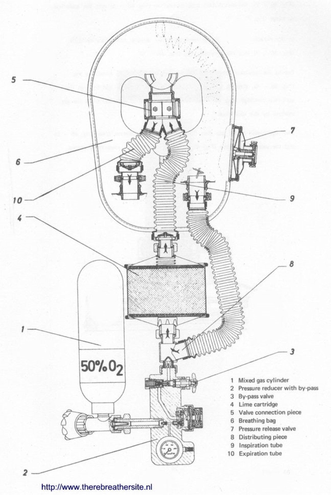 Therebreathersite TR66 014