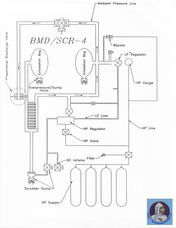 Therebreathersite BMD SCR4 016